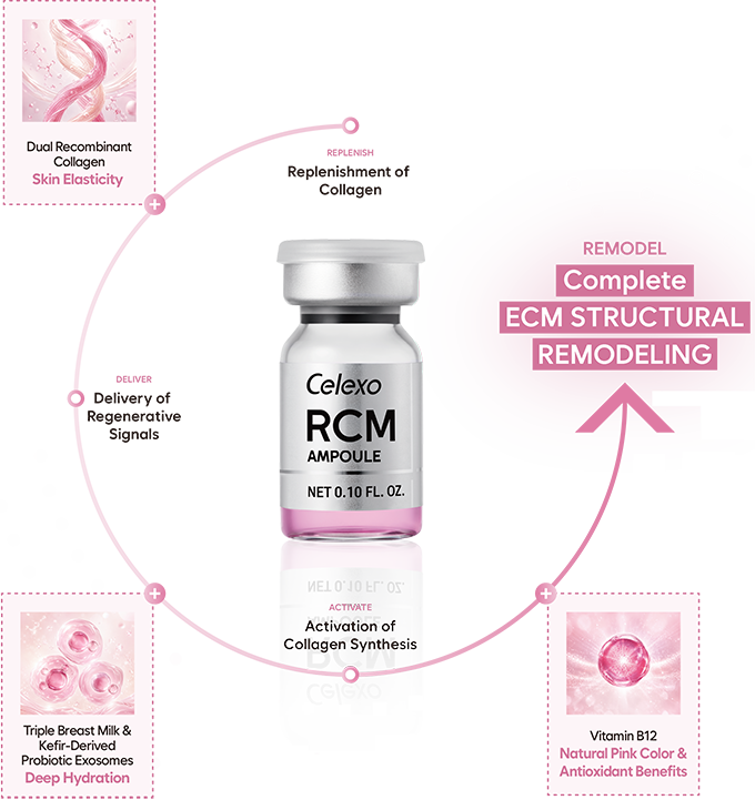 Celexo RCM Ampoule and ECM structural remodeling diagram featuring recombinant collagen, probiotic exosomes, and Vitamin B12